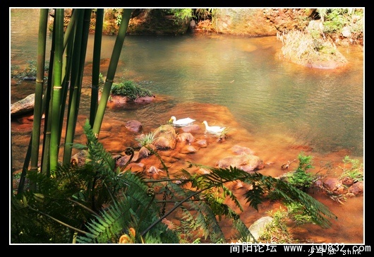 悠游.jpg