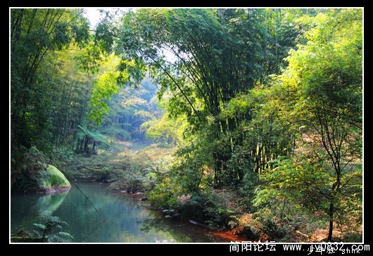 仪态万千.jpg