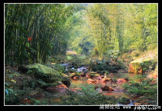 竹 溪.jpg