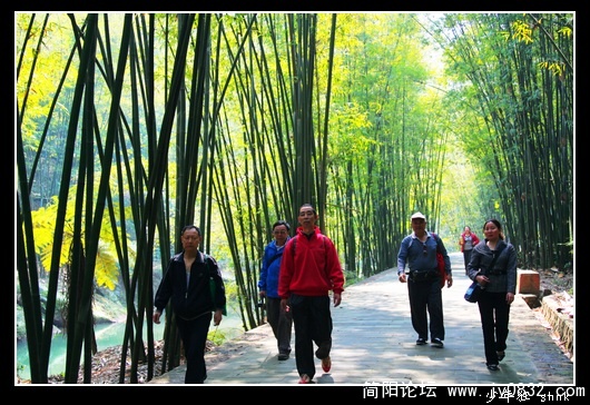 翠竹廊中游.jpg