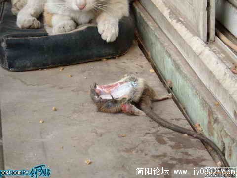 阳台C.jpg