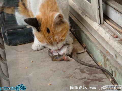阳台1.jpg