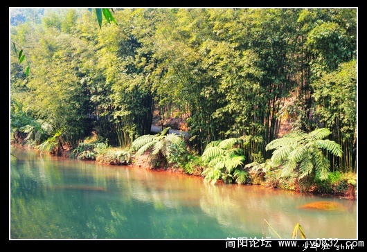 在水一方.jpg
