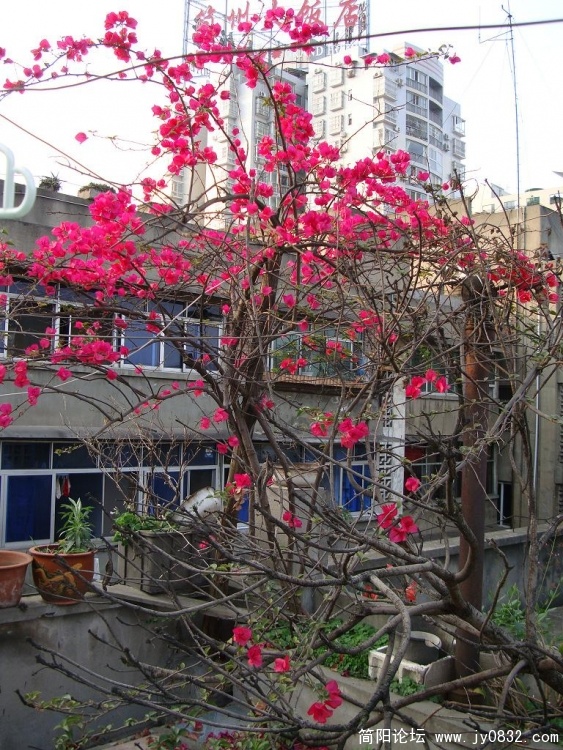 DSC00676.JPG