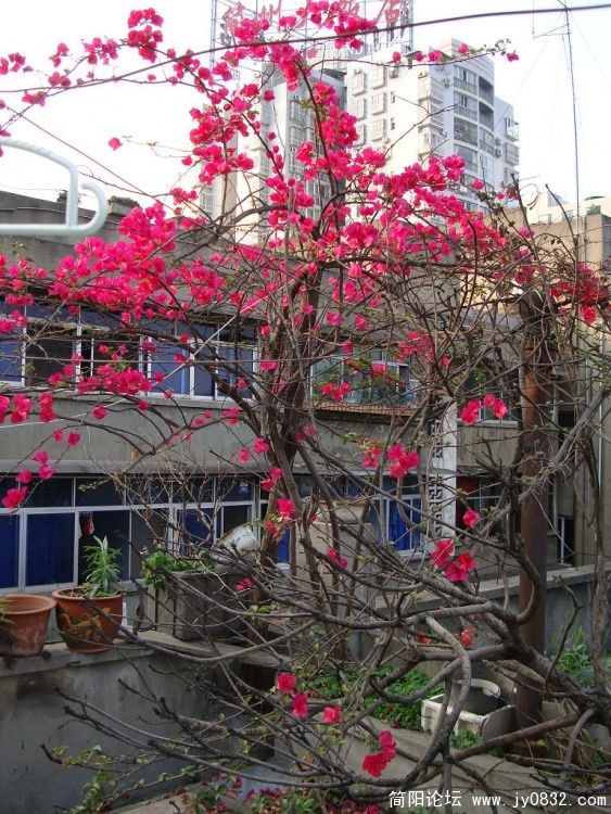 DSC00677.JPG