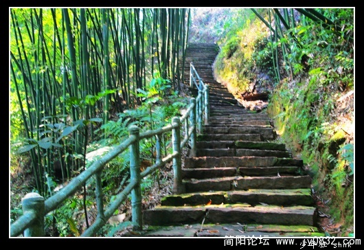 藓苔浸阶.jpg