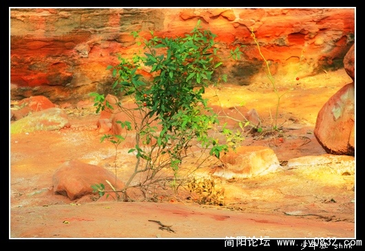 赤壁增红.jpg