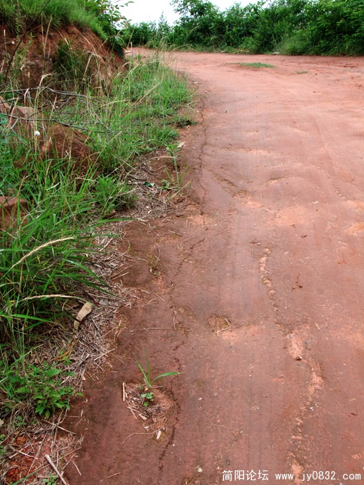 DSCF3609.jpg