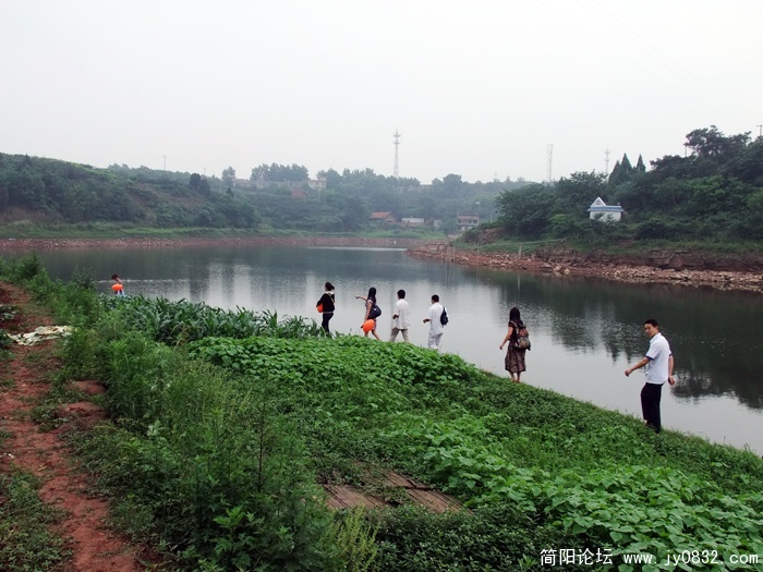 DSCF3611.jpg