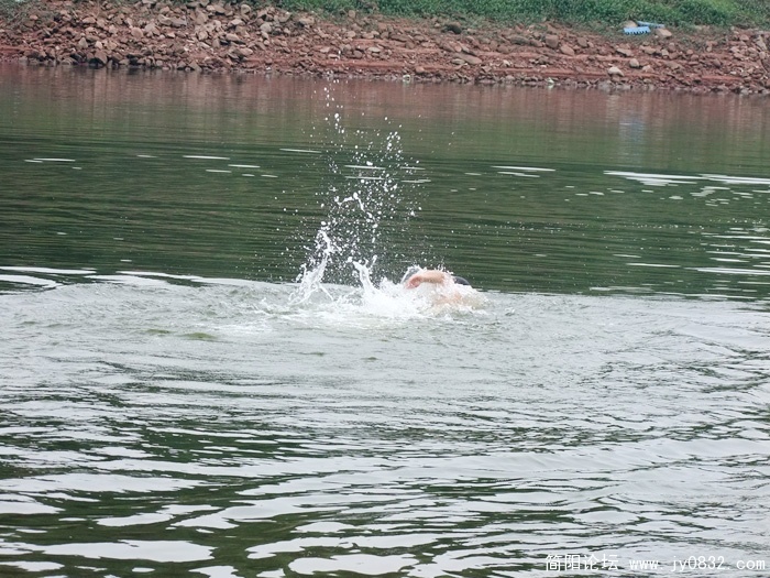DSCF3619.jpg