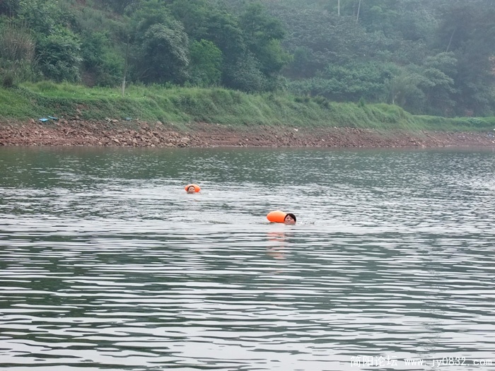 DSCF3729.jpg
