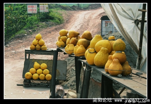 卖柚子的小摊.jpg