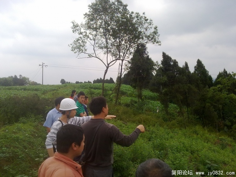 201006071130.jpg