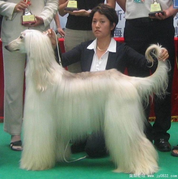 2009630223231.jpg