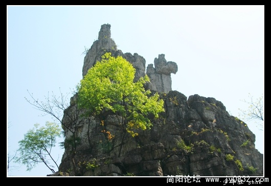 奇峰突起.jpg