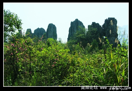 七仙女.jpg