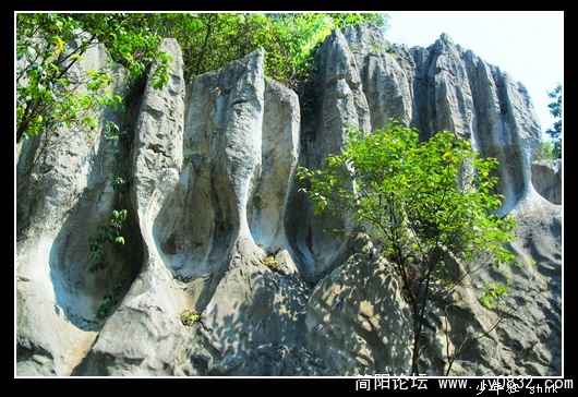 修女祈祷.jpg