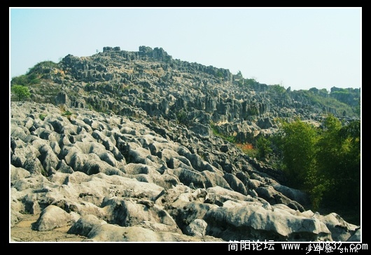 群羊上山.jpg