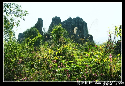 骆驼下山.jpg