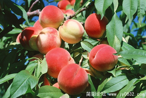 20106913575216.jpg