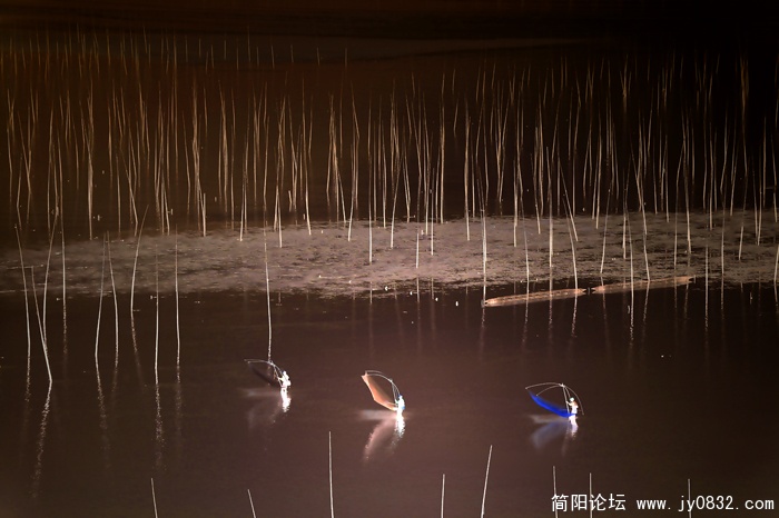 小皓滩涂03.jpg