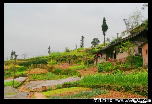 大山 农家.jpg