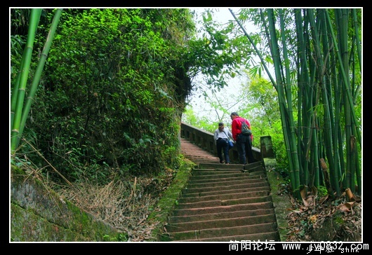 上山.jpg