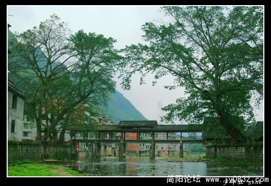 龙华凉桥.jpg