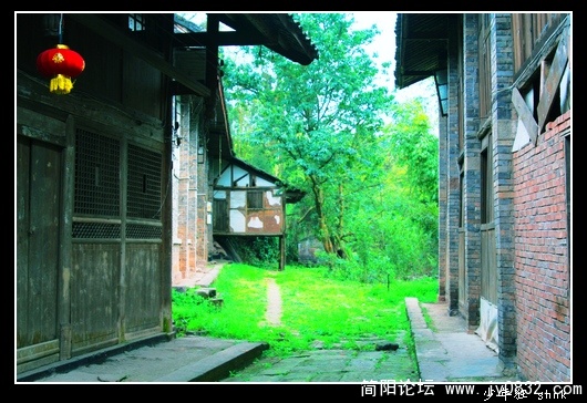 西支路4.jpg