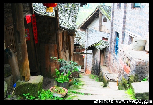 西支路6.jpg