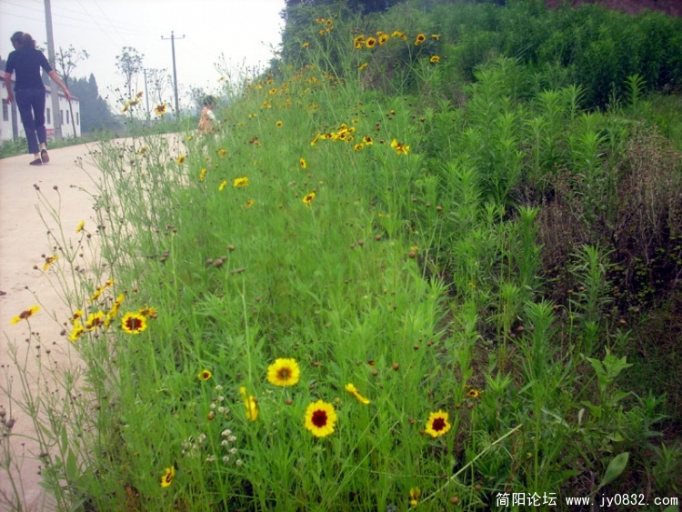 2010.6月 (48).jpg