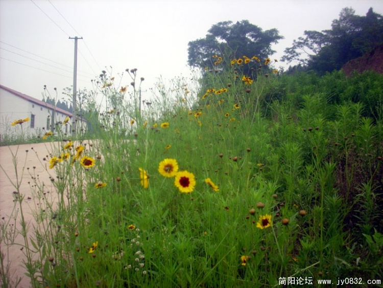 2010.6月 (47).jpg