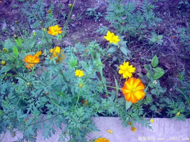 2010.6月 (53).jpg