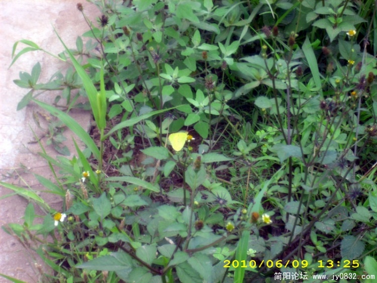 2010.6月 (54).jpg
