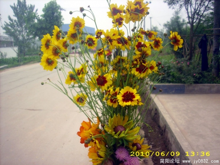 2010.6月 (55).jpg