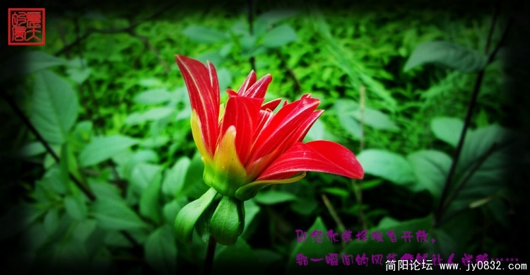 照片A0218a.jpg