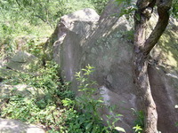 简阳市五指乡建设村1组四季生态农家乐