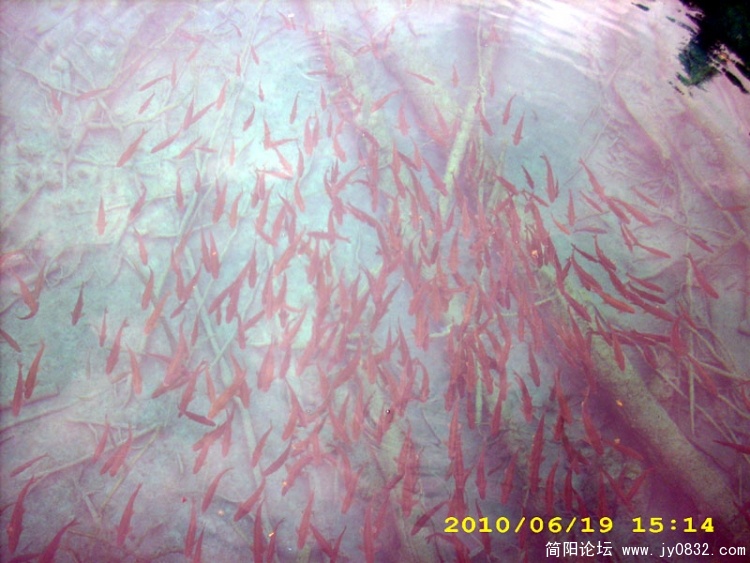 DSCI0166.jpg
