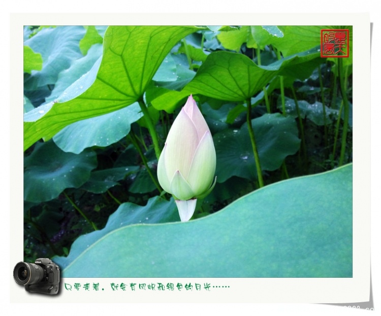 照片0013.jpg