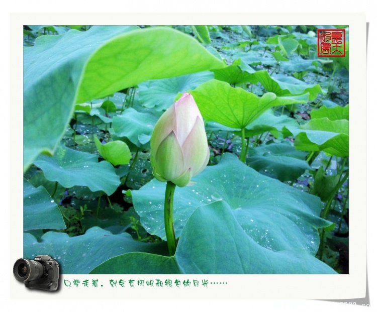 照片0009.jpg