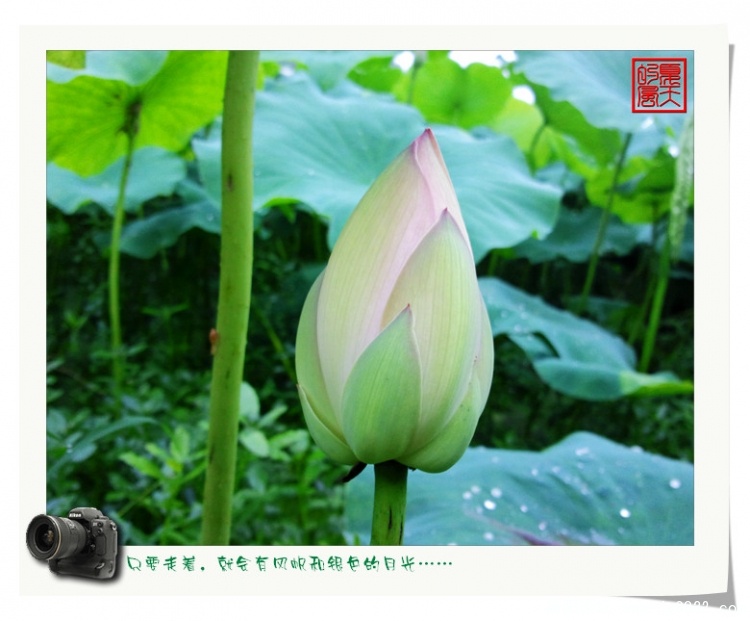 照片0016.jpg