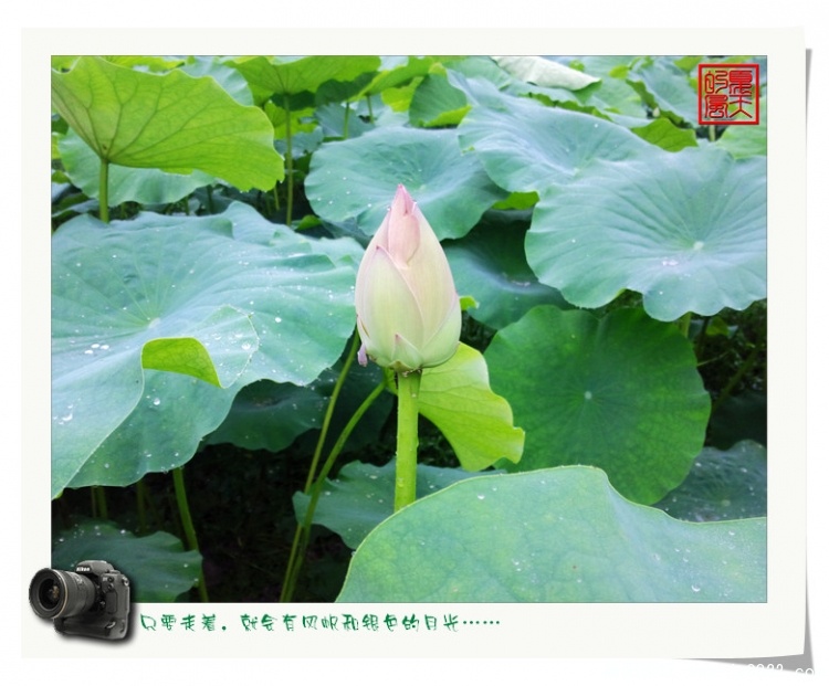 照片0027.jpg