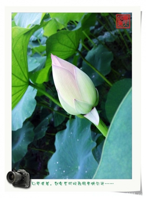 照片0030.jpg