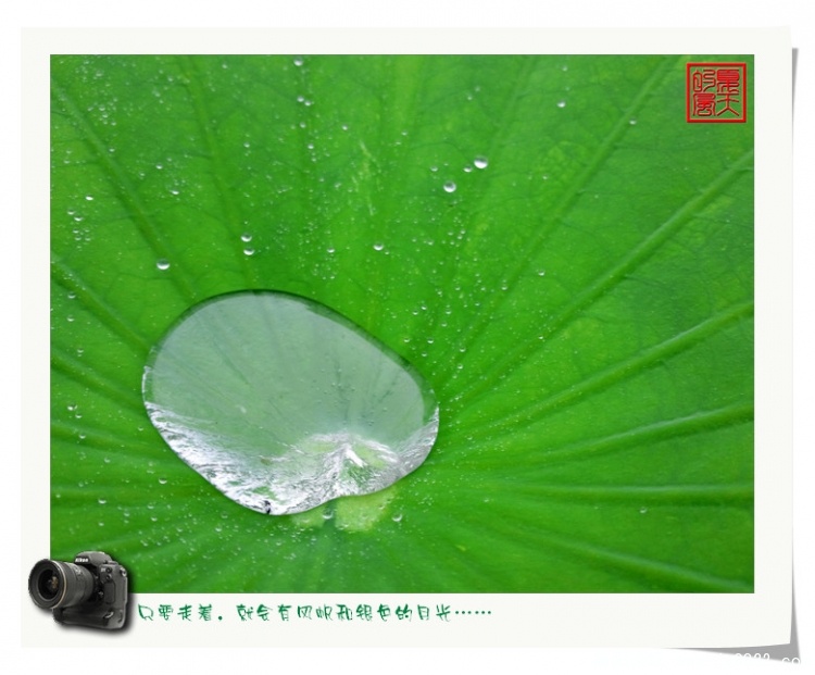 照片0006.jpg