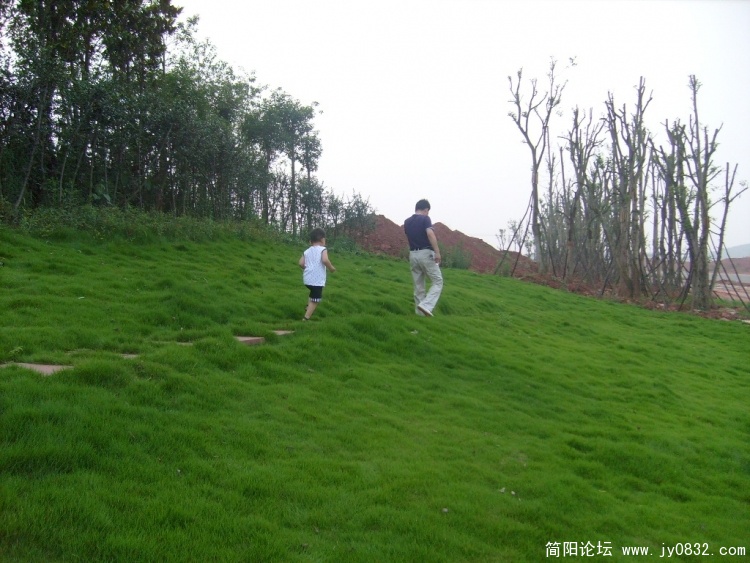 S7302363.JPG