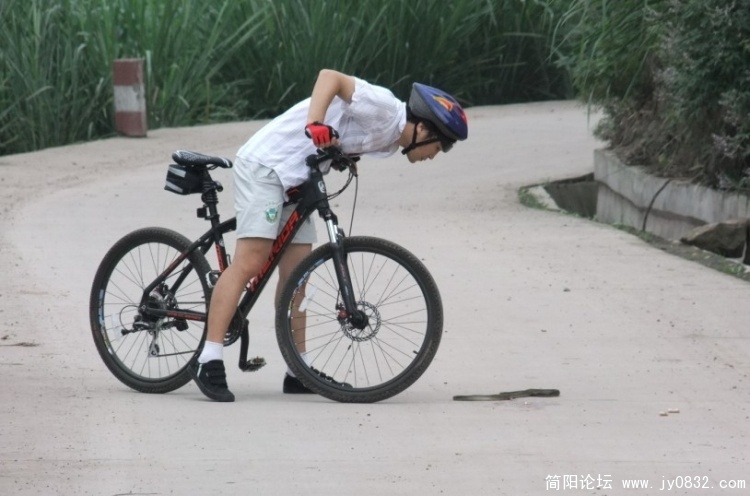 要爱护野生动物啊，要吃都得等它长大点多。