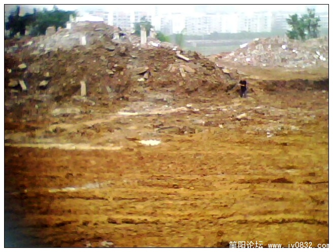 IMG1285A.jpg