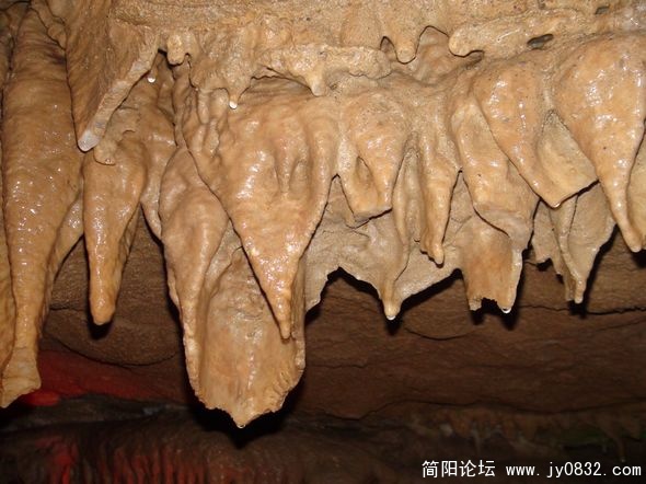 nEO_IMG_DSC00054.jpg