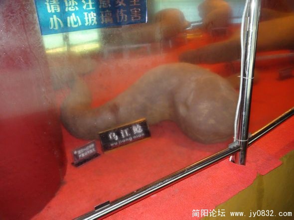nEO_IMG_DSC00029.jpg