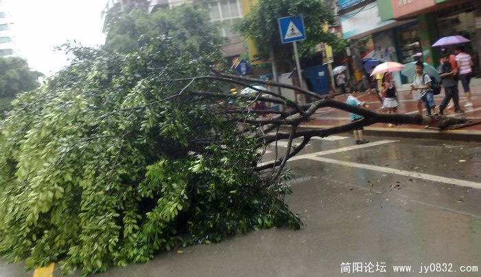 201007014945.jpg